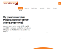 Tablet Screenshot of pandahathiwala.com